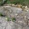 Vis Island, Vis, Roman Baths, floor mosaics, damage caused by vegetation, 2012