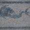 Vis Island, Vis, Roman Baths, floor mosaics, dolphin, detail
