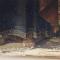 Detail of the right bottom corner, before conservation. Visible are the injuries to the wooden support and the paint layer.