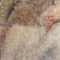Detail of the lower left corner of the painting, while removing surface dirt and varnish. The upper, darker half of the painting was not cleaned yet, while the dirt and the varnish had been removed from the lower, lighter half.