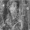 Jacopo Bassano dal Ponte (?), Mater Dolorosa, rendgenogram