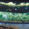 Mikropresjek, detalj gornjeg dijela Rafaelove zelene tunike
