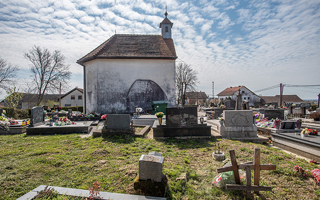 Konzervatorsko-restauratorska istraživanja zidnog oslika u crkvi sv. Martina u Dubravi