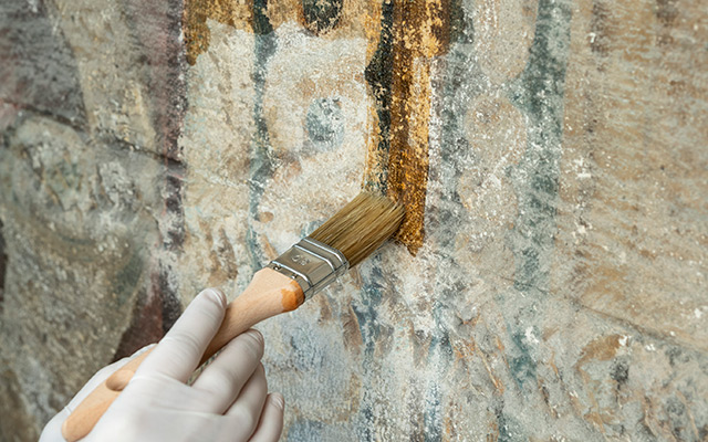 Konzervatorsko-restauratorska istraživanja Nove crkve s dvoranom bratovštine u Šibeniku